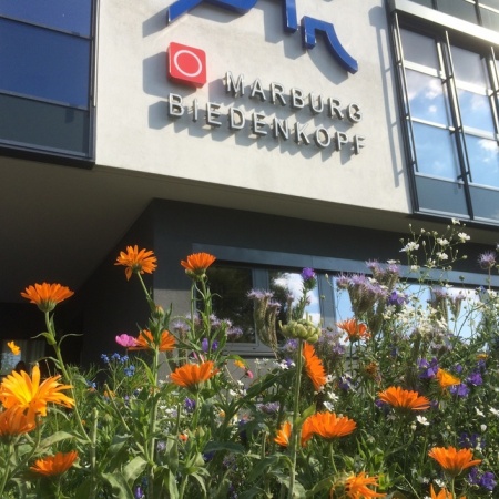 Größeres Bild ansehen
