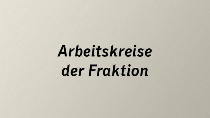 Arbeitskreise der Fraktion